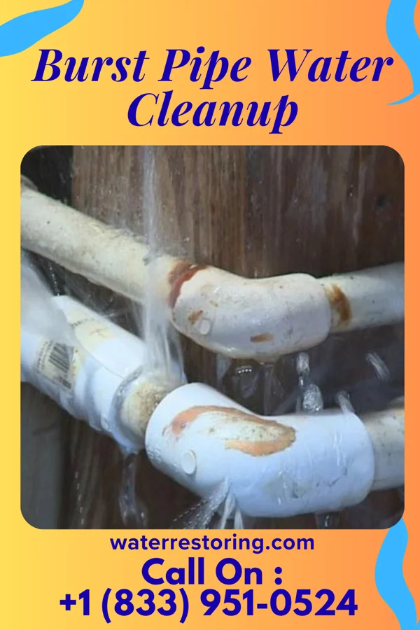 Burst Pipe Water Cleanup in Windsor, FL
