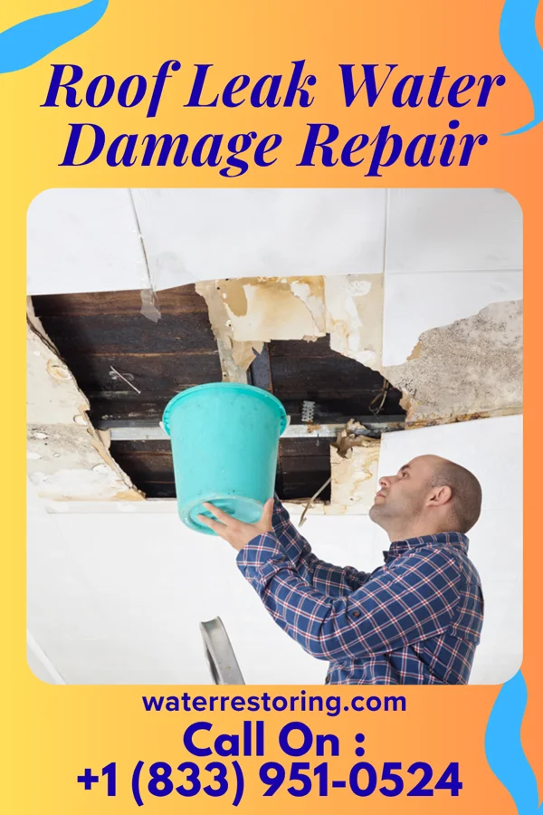 Roof Leak Water Damage Repair in Windsor, FL